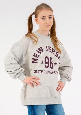 Pullover Sweatshirt grau weinrot Blue Effect