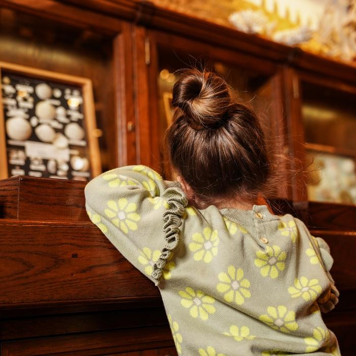 Strickpullover beige Koko Noko