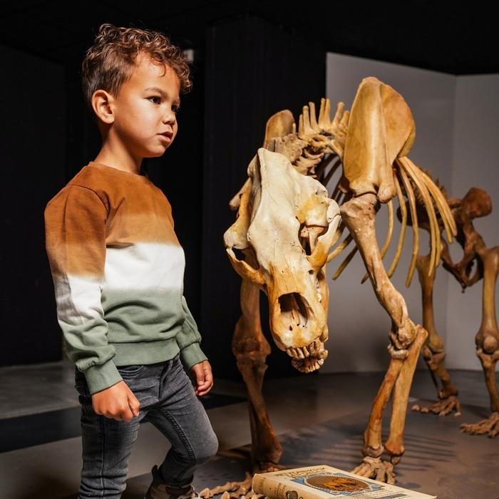 Sweatshirt gebatikt braun grün creme Junge Koko Noko