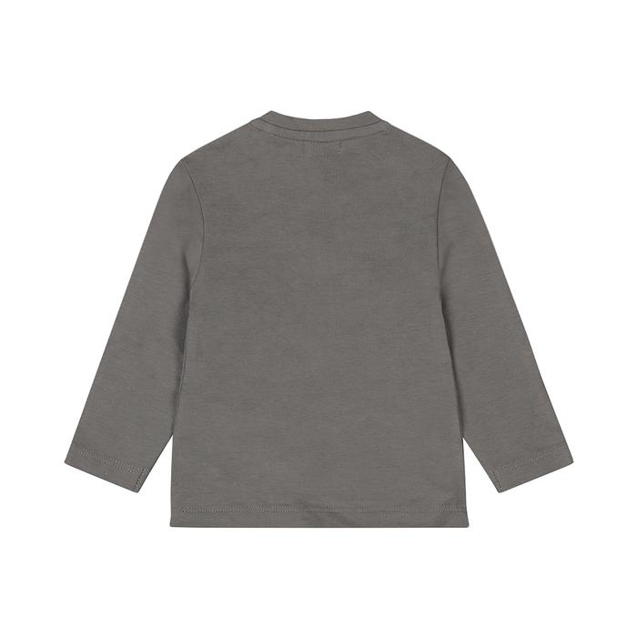 Shirt Langarm grau Tieger Junge Dirkje3